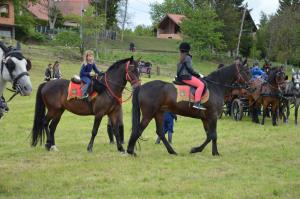 3. Srečanje kočij in konjenikov na Grabah 8